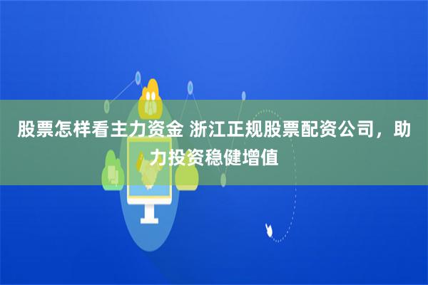 股票怎样看主力资金 浙江正规股票配资公司，助力投资稳健增值