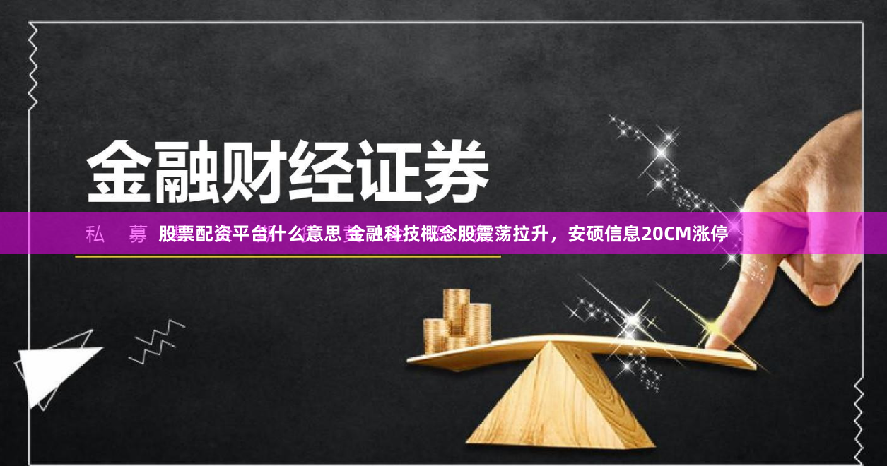 股票配资平台什么意思 金融科技概念股震荡拉升，安硕信息20CM涨停